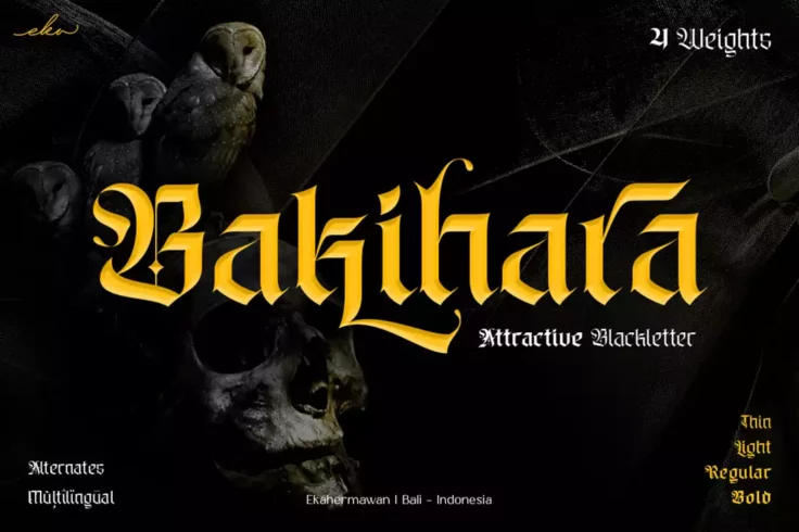 View Information about Bakihara Font