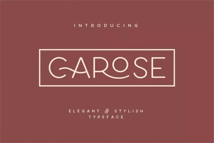 View Information about Carose Sans 6 Elegant Monogram Fonts