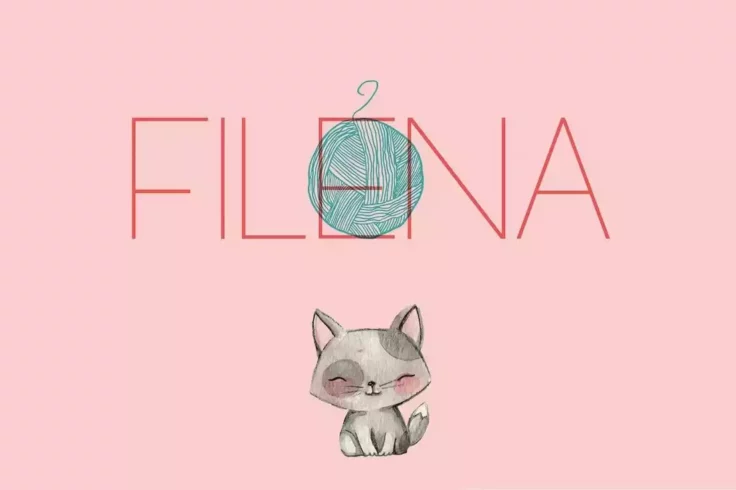 View Information about Filena Casual Sans Serif Clean Font