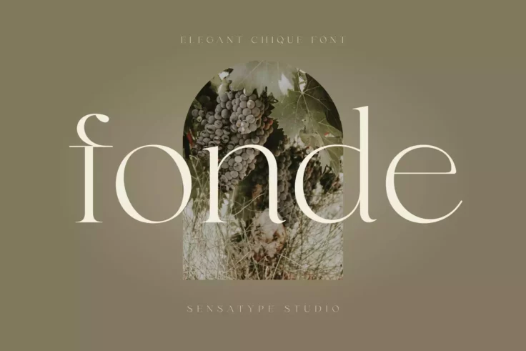 View Information about Fonde Elegant Chic Font