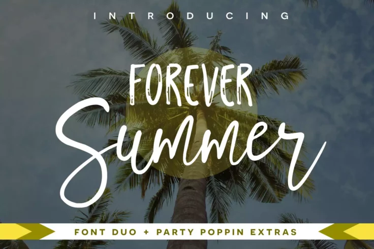 View Information about Forever Summer Font Duo