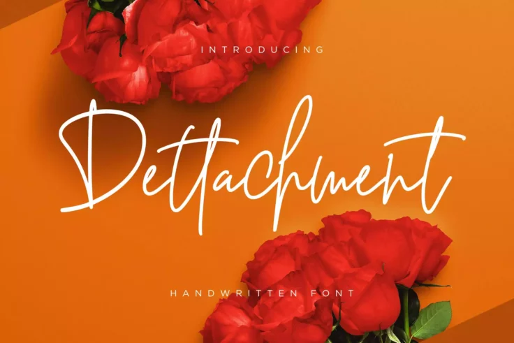 View Information about Dettachment Font