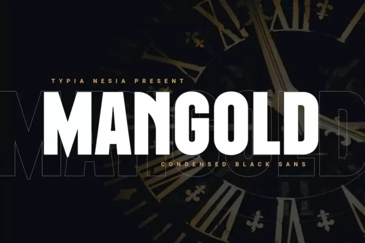 View Information about Mangold Bold Condensed Sans Font